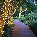 Dazzle Bright 60 Pcs Replacement Christmas Mini Light Bulbs, Warm White Incandescent String Lights With Green Base, 2.5 V for Indoor Outdoor Xmas Tree Decor, 170 mA, 0.42 Watt