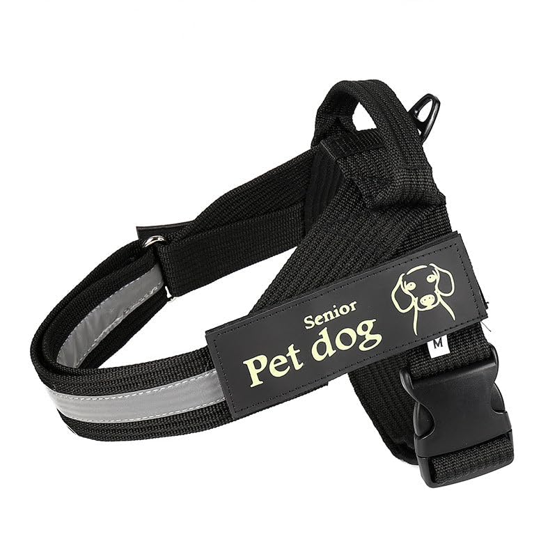 Laisse de promenade pour chien avec harnais XL noir r&eacute;sistant pour &eacute;viter les fuites