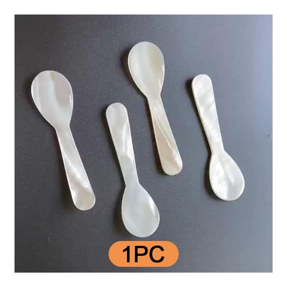 Lot de 8 cuillères à café en coquille de conque naturelle de 7,2 cm - Cuillère à café en nacre - Coquillages