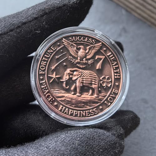 Fortune Favors the Bold Lucky Coin with Protective Case - High Relief Zinc Alloy Good Luck Collectible, Horseshoe & Four-Leaf Clover Keepsake Gift for New Beginnings & Success (1.57") ﻿ ﻿ ﻿