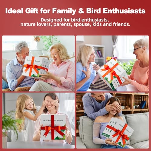 Smart Bird Feeder Camera Solar Powered