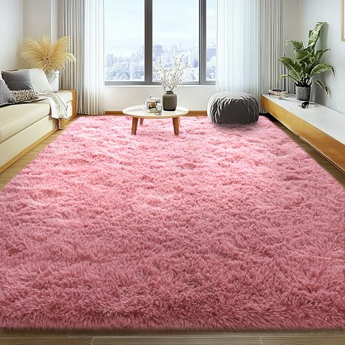 Soft Fluffy Rug for Living Room, 4x6 Cameo Pink Shag