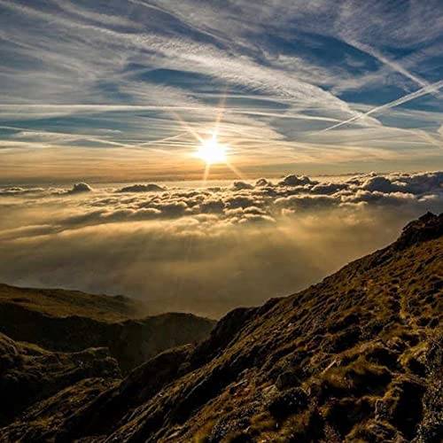 Reflection 55- Creation Reflects the Mercy of God