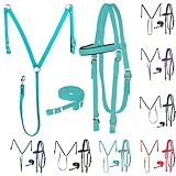 Majestic Ally Nylon Padded Equestrian Browband Headstall, Reins & BreastCollar Set for Horse- Full (Turquoise...