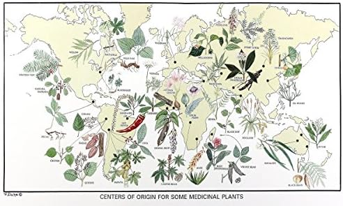 World Map of Medicinal Plants, with Botanical Illustrations, 12 X 20 Inches