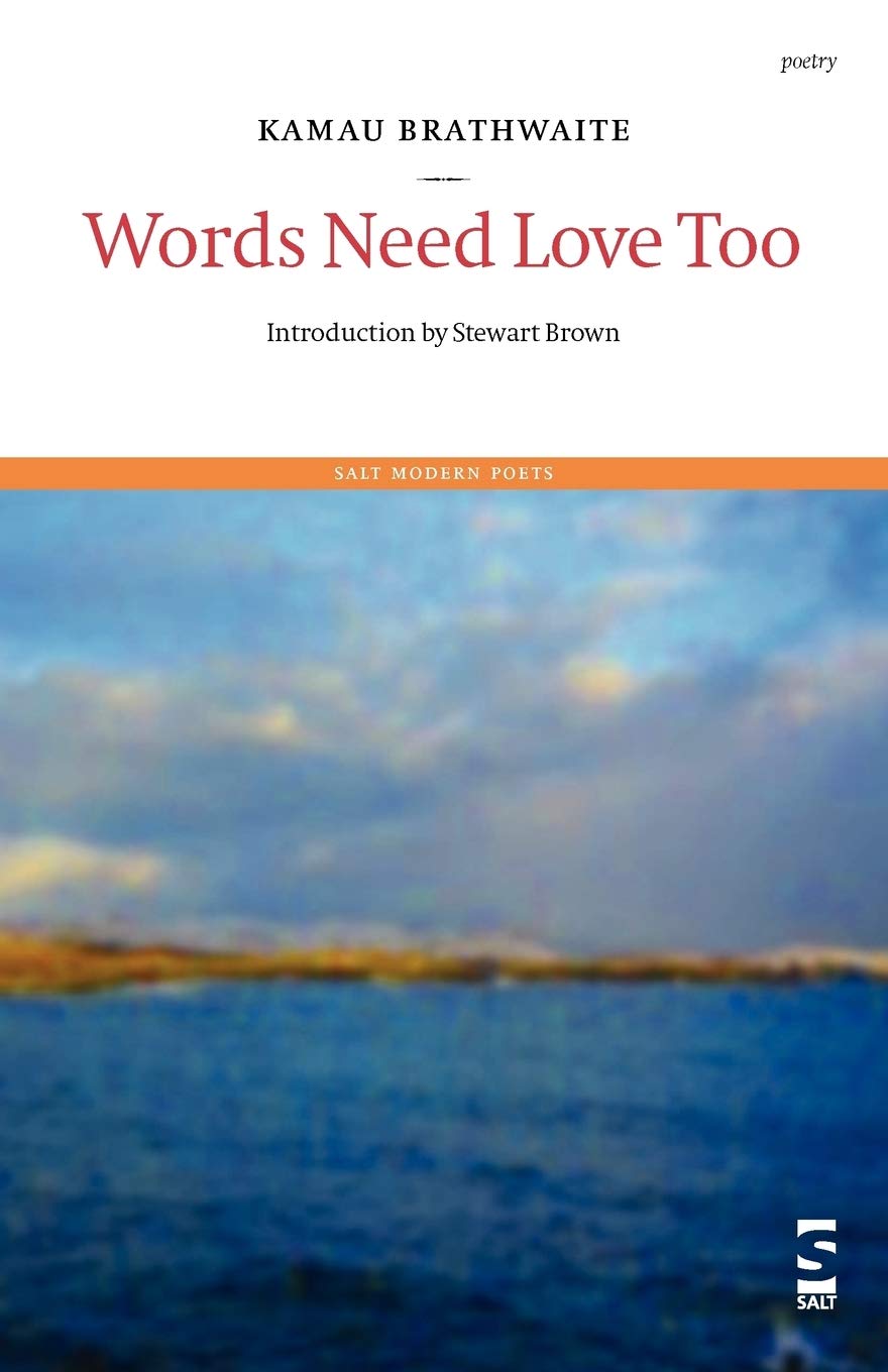 Words Need Love Too (Salt Modern Poets)