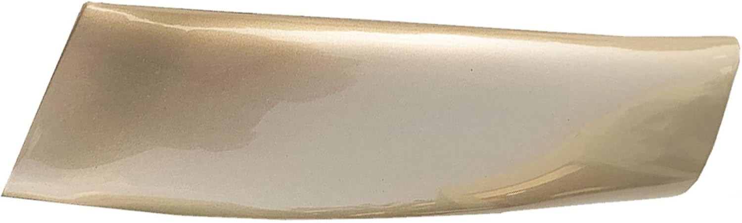 ADVANCE IGNITION Upgradedd Exterior Cab Roof Molding Compatible with 99-07 Ford F-250 F-350 F-550 Super Duty (Regular Cab & Crew Cab) Left and Right Passenge BM Light Prairie Tan Metallic 2PCS