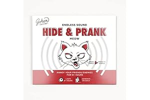 Hide & Seek Cat Meows Surprise Box: Guaranteed Purr-Licious Pranks!