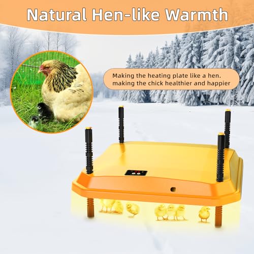 Jelsvop Coop Chick Brooder Heating Plate Brooder Heat Plate Warms Up To 15 Chicks thumb #4
