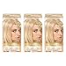 L'Oréal Paris Superior Preference Fade-Defying + Shine Permanent Hair Color, LB02 Extra Light Natural Blonde, 3 COUNT Hair Dye