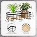 Funrous 2 Pcs Metal Small Wire Basket Wall Hanging Wire Basket Hang Small Bathroom Kitchen Storage Organizer Toilet Paper Mesh Storage Bin Shelf Rack with Base(Black,9.84 x 3.94 x 2.76 Inches)