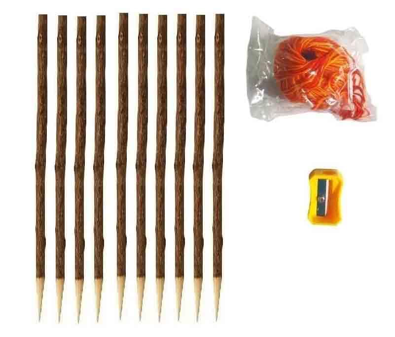 Image of Anar ki Kalam, (Used for writing on Bhojpatra) - Set of 10 Sticks with FREE Kalawa & Sharpener | Perfect for Pooja, Mantra & Bhojpatra Yantra and Mantra Writing