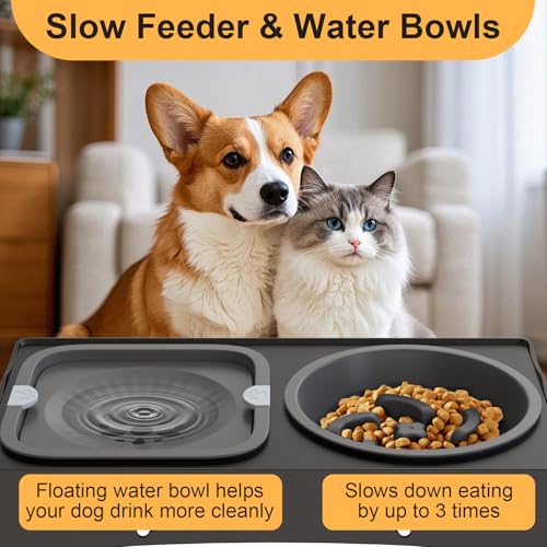 Raised Dog Bowls,5 Height Adjustable Elevated Dog Bowl Stand (8.2cm/22cm/25cm/28cm/31cm) for Small Medium Large Dogs,Tool-Free Raised Dog Feeder with Slow Feeder & No Spill Water Bowl - Image 5