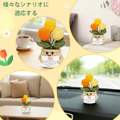 Matomtak かぎ針編み チューリップ 鉢植え 可愛いおしゃれ 手作り 手編み チューリップ 毛糸の花 アートフラワー 手織り置物 ニット造花 インテリア 卓上 飾り 枯れない花 クリスマス 誕生日 記念日 教師の日 プレゼント 贈り物 [4]