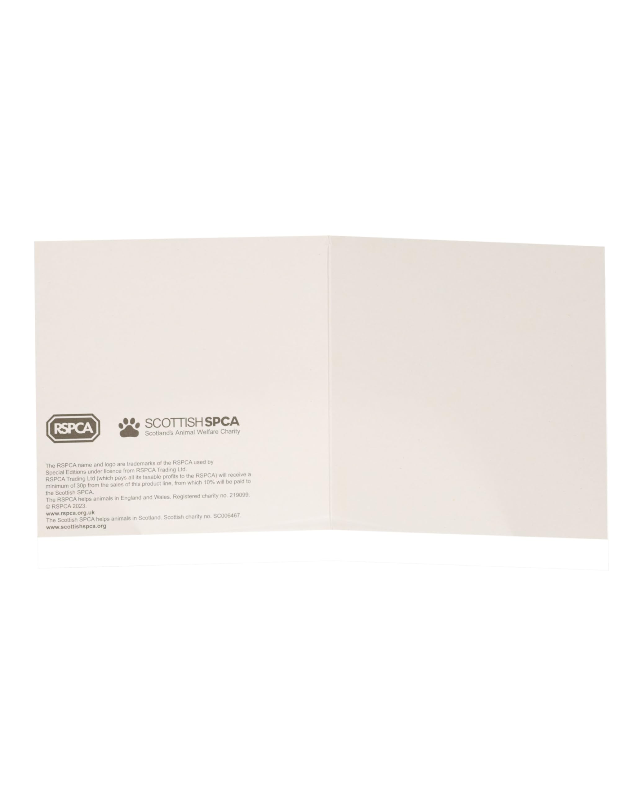 Pack Of 6 RSPCA Hot Cross & Egg-cited Easter Cards Charity Greeting Cards, Multi - Image 2