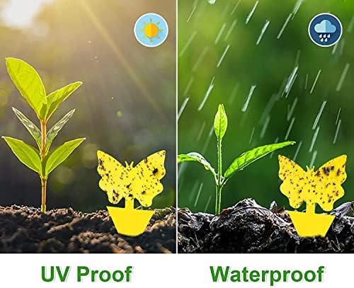 48 Pack Yellow Sticky Fly Traps, Plant Fly Killer and Fungus Gnat killer Trap, Very Sticky, Bug Insect Fruit Fly Traps Good for Indoor and Outdoor, Protect The Plant, Non-Toxic and Odorless Value Suit