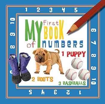 Board book My First Book of Numbers Book