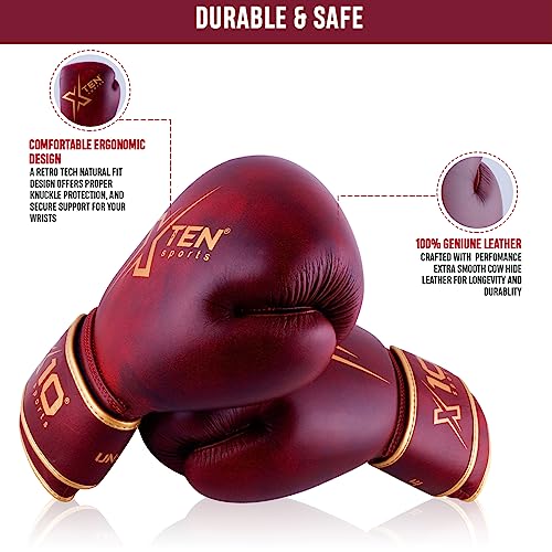 XTEN Boxing Gloves Perfect for Sparring to boost boxing training on Boxing bag Pro gym gloves Cow Hide Leather ventilated boxing gloves women men pair to punch on punch bag (8 OZ - Image 2