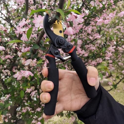 Set de tijeras de podar para jardín 2 unidades miniatura 5