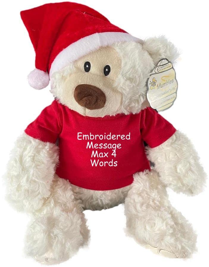 Personalised Teddy Bear Baby's 1st Christmas Bears Santa Stocking Filler Santa Hat Gift Embroidered Keepsake