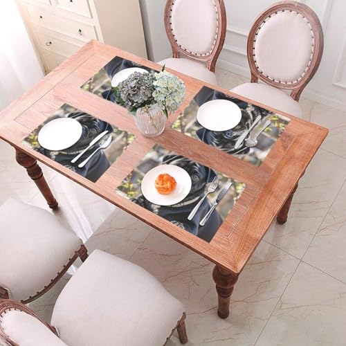 Set de table PVC carlin noir antidérapant et résistant x6 - 6
