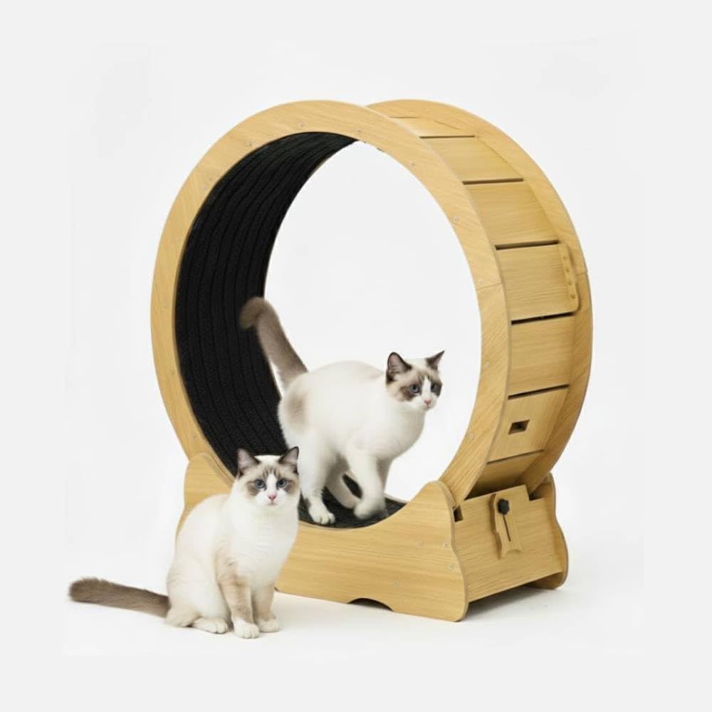 【新品未使用】万歩計付き honovo キャットホイール ホワイト Amazon | HOVONO 万歩計付きキャットホイール 非常にシンプルで