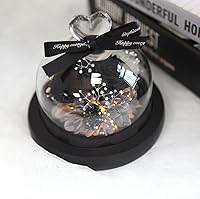 Vista 4 de Kylin Glory Forever Flowers - Rosas eternas reales preservadas, regalo con luces LED de estado de ánimo para el día de San Valentín, cumpleaños