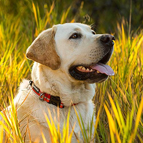 RUFFWEAR-Crag-Dog-Collar