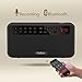Rolton E500 Portable Stereo Bluetooth Speakers FM Radio Clear Bass Dual Track Speaker TF Card Music Player (Black)