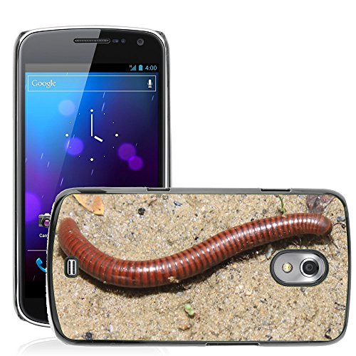 Wide selection of different designs