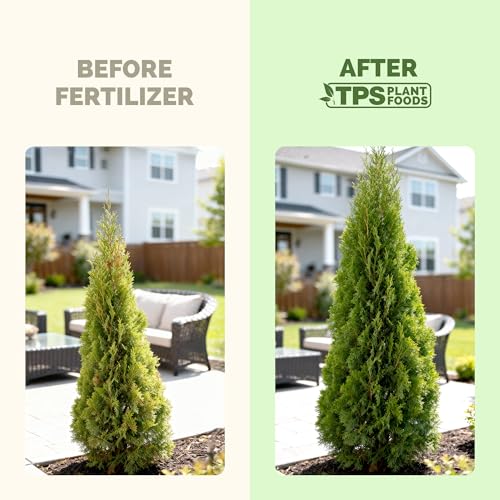 Arborvitae Liquid Fertilizer 1 Gal