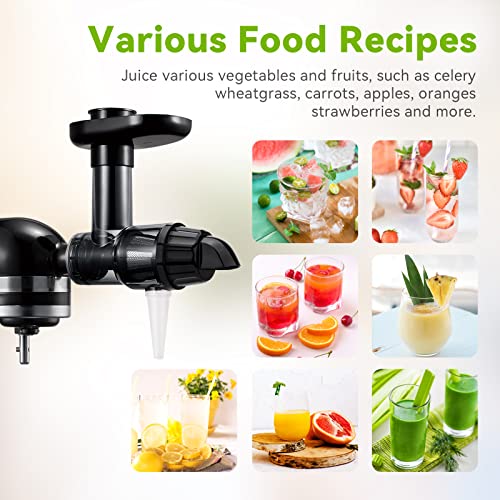 Masticating Juicer Attachment For Kitchenaid Stand Mixers Replacement, Slow Juicer Accessories For All Kitchen Aid Mixers By Aikeec, Cold Pressed Juicer Parts, Great For Fruits And Vegetables, Black #TOP4