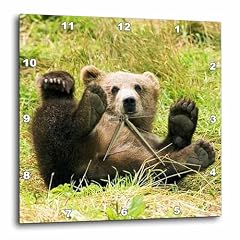 3 d Rose Wall Clock Silent 10 inch Baby Grizzly Bear Animals product