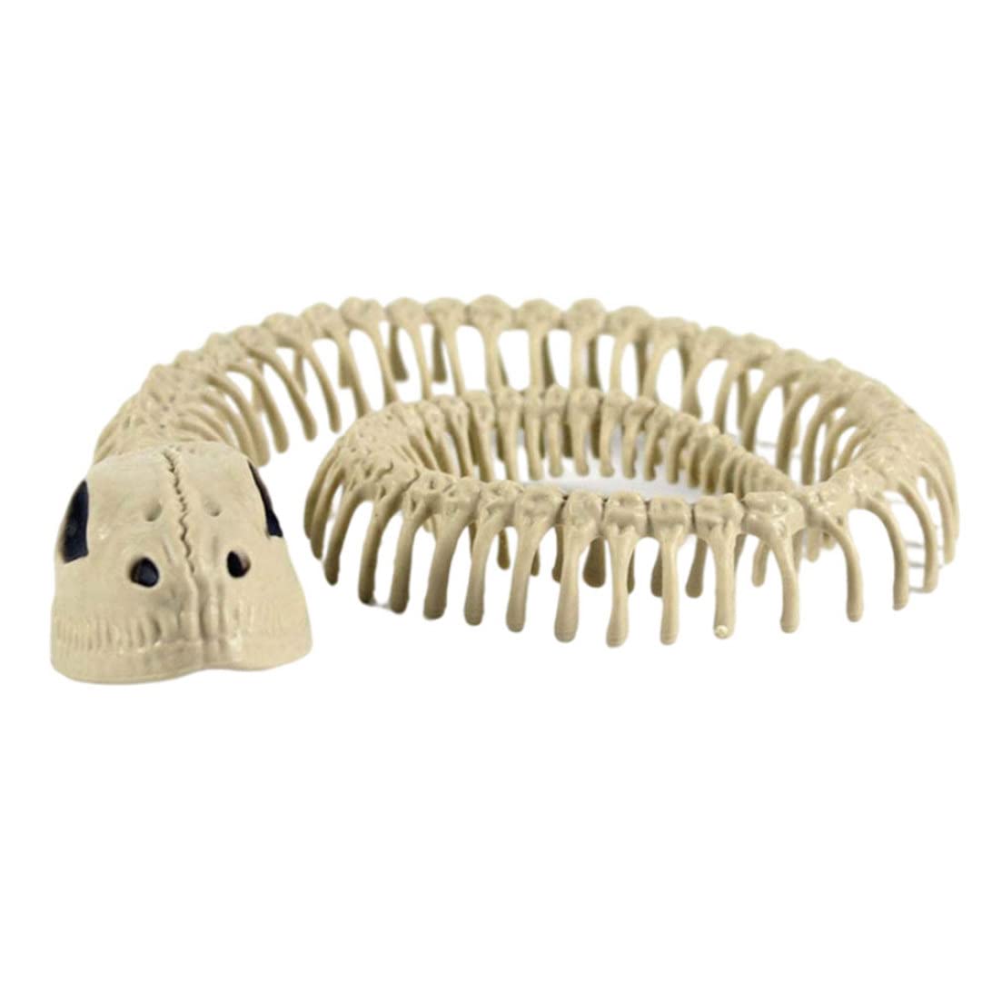 Esqueleto De Serpiente Articulado 60 Cm - Mandíbula Móvil, Cuerpo Flexible, Decoración Halloween Y Cosplay