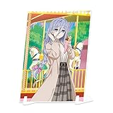 デート・ア・ライブV 描き下ろしビジュアルアクリルプレート 崇宮澪 遊園地デート ver.