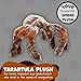 WISHPETS Stuffed Animal - Soft Plush Toy for Kids - 9 Inch Tarantula