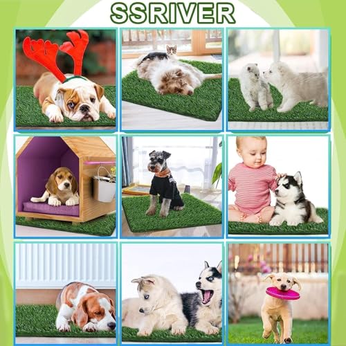 Image of Artificial Grass for Dogs Pee Tray (19 x19 Inch(Pack of 2))