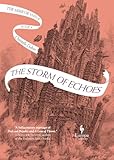 The Storm of Echoes: The Mirror Visitor Book 4 (The Mirror Visitor Quartet)