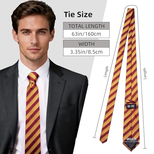 Image of Hi-Tie 63 inches Striped Paisley Extra Long Ties for Men Silk Necktie with Lapel Pin Tie Clip Big and Tall Men Formal Wedding