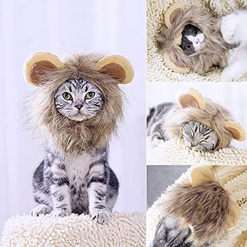 Amazon Co Jp 犬 猫用ライオンたてがみ ペット用品 Amazon Co Jp 犬 猫用ライオンたてがみ ペット用品