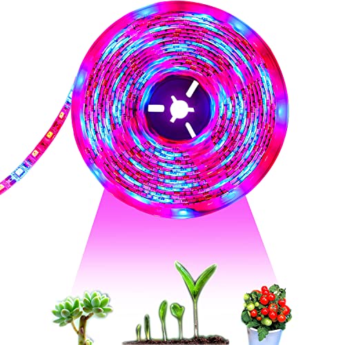 Tesfish LED planten groeistrip licht DC 12V IP65 Ledstrip volledig spectrum SMD 5050 rood blauw 3: 1 LED Lichtstrip voor aquarium kassen planten
