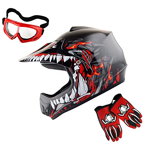 10 best dirt bike helmet under 200 Quick Guide Pro