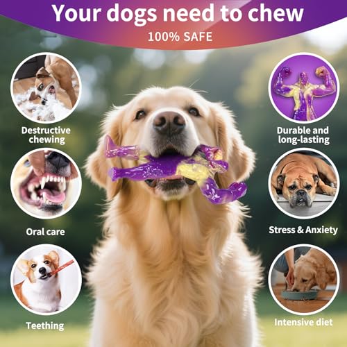 Jouets à mâcher durables pour chien de taille moyenne en lot de 2 - 7
