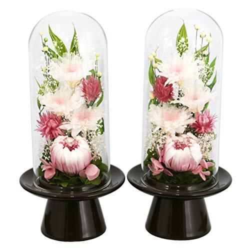 A[gtH[V[Y ֋e n GlassDome ΃fUCSETsN vU[uht[