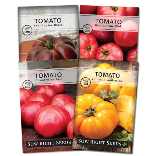 Sow Right Seeds - Brandywine Tomato Seed...