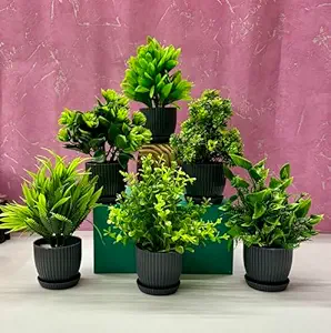 Dekorly 6 Packs Fake Plants Small, Mini Artificial Plants Indoor For Home Farmhouse Bathroom Shelf D?cor (Height : 17Cm, Black) - Plastic
