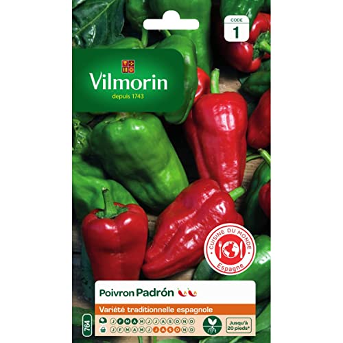 Vilmorin - Sachet graines Poivron Padron