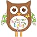 Whoo Loves You Baby Shower Girl Balloons Decorations Supplies