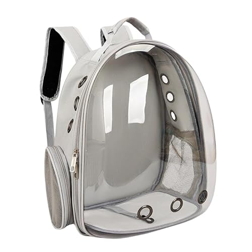 Ghbunuz LL[obO Lp FDJvZ^ bNTbN o ʋC e ϋv S ܂肽݉\ (O[-)