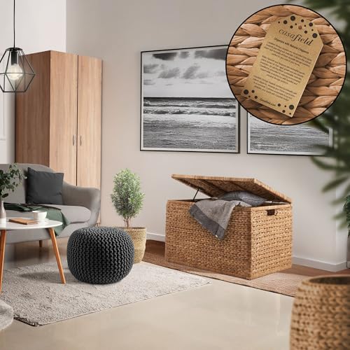 Image of Casafield 30 inch Storage Chest with Lid, Handles, and Safety Hinge - Cinnamon Brown, Hyacinth Wicker Storage Trunk for Entry Way, Living Room, Bedroom